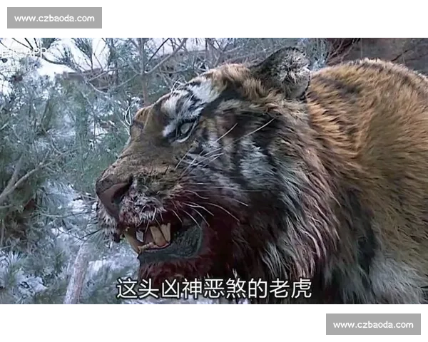宿命对决：两大宿敌跨越岁月展开生死较量